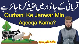 Kya Qurbani Ke Janwar Min Aqiqa Ho Sakta Hai | Qurbani Ke Janwar Me Aqiqa Ka Hissa Shamil Krna | NEA