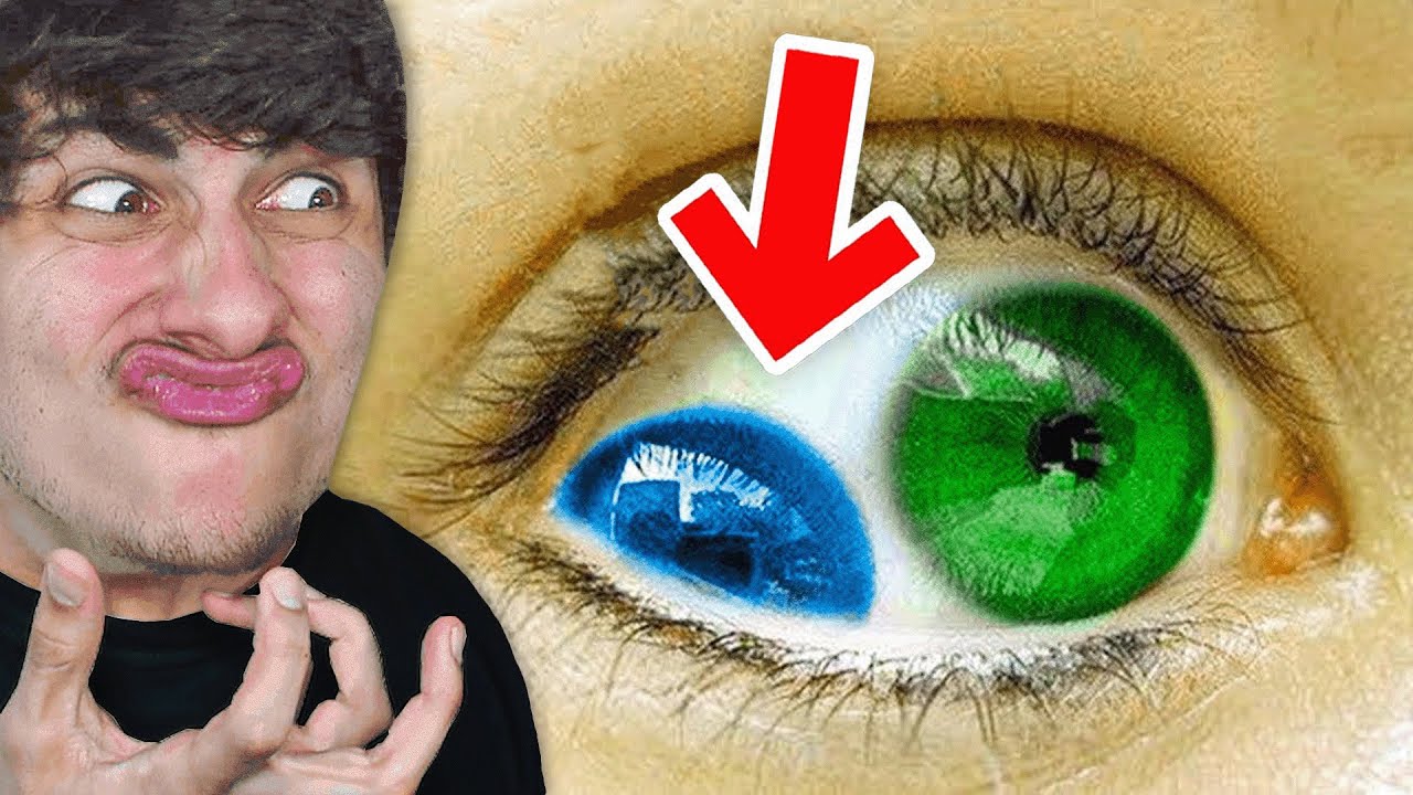 Seulement 1% Des Gens Possèdent Ça