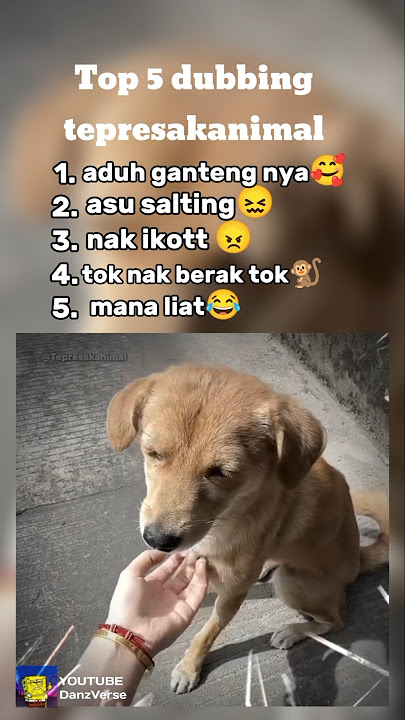 TOP 5 DUBBING TEPRESAKANIMAL 🗿 #memesdaily #memes #animals #kucing#anjing#monyet