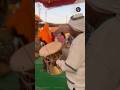 মহাকুম্ভ প্রয়াগরাজ ২০২৫ পরিক্রমা 🔱 Mahakumbha Prayagraj 2025 Parikrama ~ Baba Kinarama Ashram