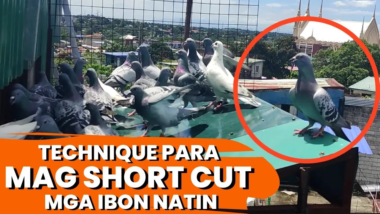 BREAKAWAY NA IBON - PAANO GINAGAWA - SECRET OF CHAMPIONS