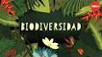 La importancia de la biodiversidad ile ilgili video