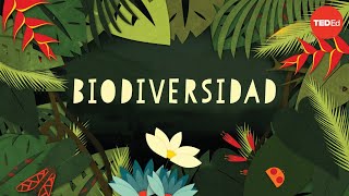 ¿Por qué la biodiversidad es tan importante? - Kim Preshoff