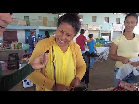 Visitando a Feira de Posse-Go e recebendo visitas na Kombi Maria de Teonílio