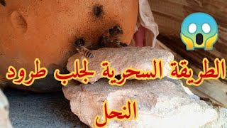 طريقة عبقرية لجلب طرود النحلطريقة سحرية بدون شك