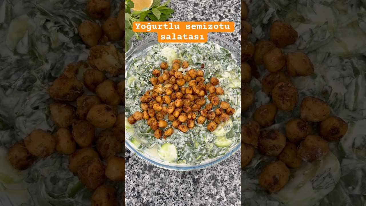 Yoğurtlu semizotu salatası – Sağlıklı fit tarifler #diyet #salata #semizotu #çıtırnohut #pratik Yoğurtlu semizotu salatası – Sağlıklı fit tarifler #diyet #salata #semizotu #çıtırnohut #pratik