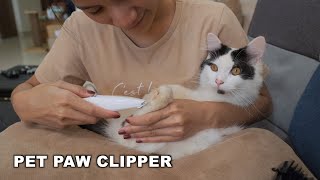 Memotong Bulu Paw Kucing