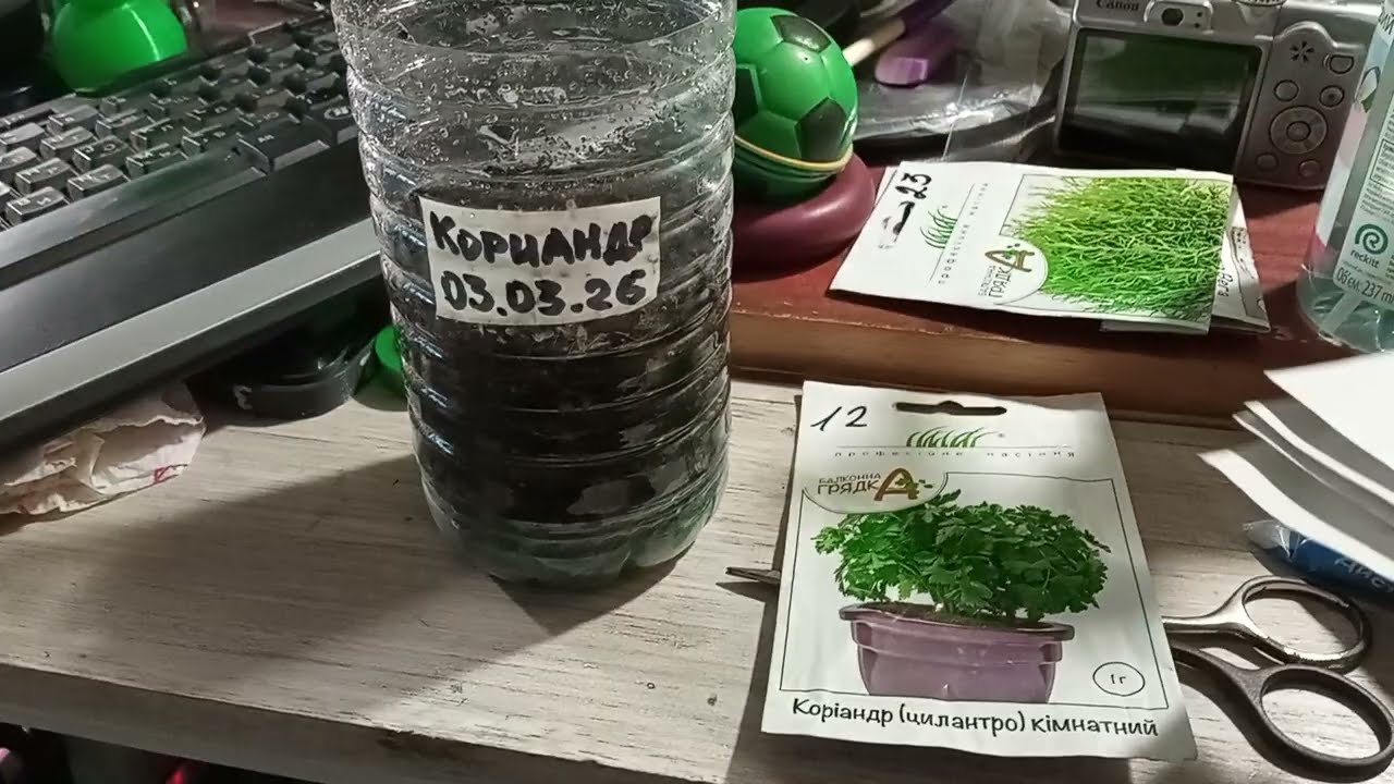 Сажу СЕЮ разные травы для ПРИПРАВЫ