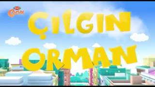 Çılgın Orman - Kral Nerede