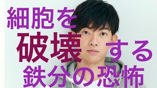 過剰摂取で細胞の破壊をもたらす鉄分をコントロールして身体の炎症を消し去る方法