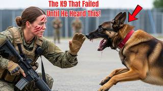 Information This K9 Failed Every Drill — Until a SEAL Whispered One Word That Changed Everything Update