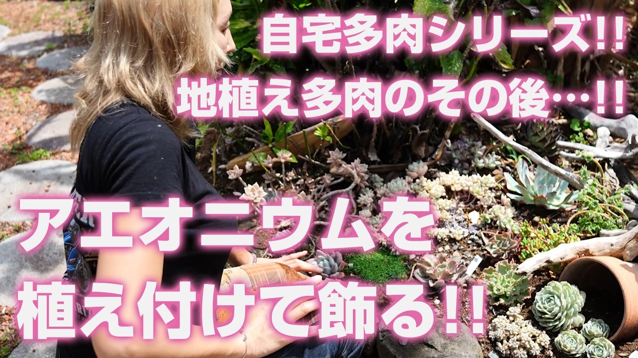 Succulents] Home Succulent Series!! What happened to the