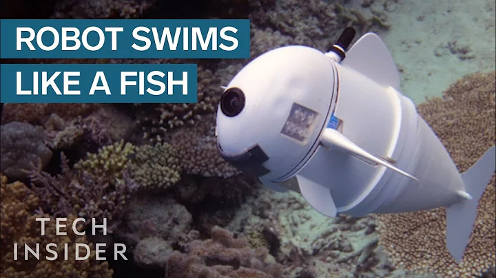 Robotic Fish Could Revolutionize How We Study The Ocean