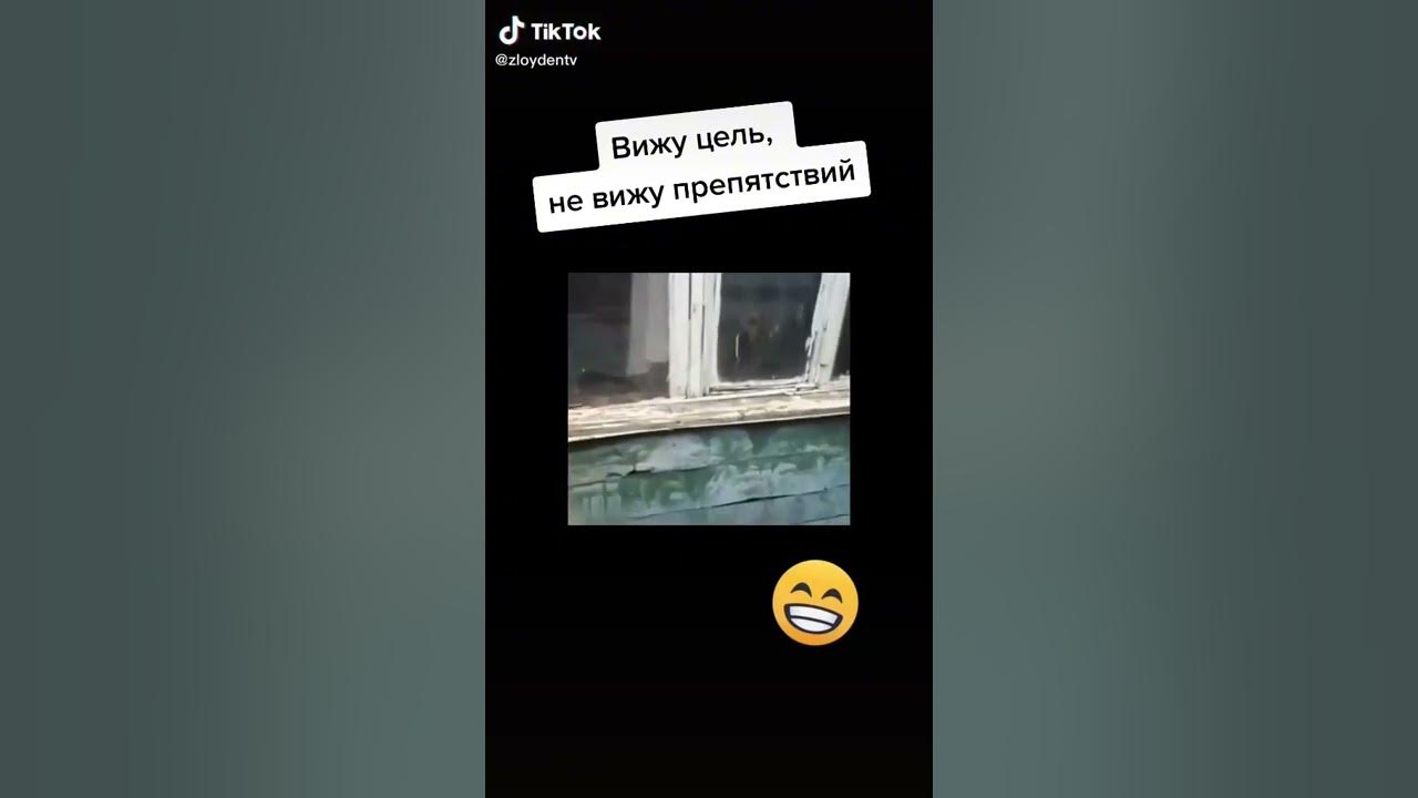 Вижу цель не вижу препятствий песня. Вижу цель не вижу препятствий мемы. вижу цель не вижу преград мем. вижу цель не вижу препятствий. не вижу препятствий мем.