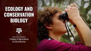 Study Ecology & Conservation Biology at Texas A&M University