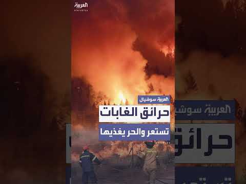 حرائق الغابات تلتهم مساحات واسعة في عدة دول حول العالم