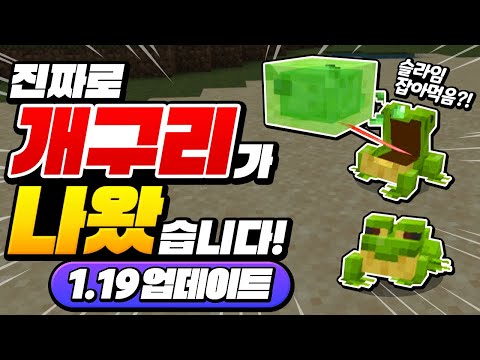 [마인크래프트 리뷰] Minecraft <strong>1.19</strong>