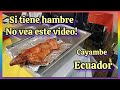 CAYAMBE Fiestas de San Pedro