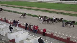 Vidéo de la course PMU PREMI UNITA