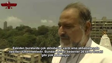 PKK