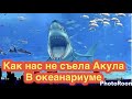 На Захарову напала акулу в океанариуме