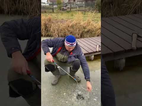 Рыбалка в пруду