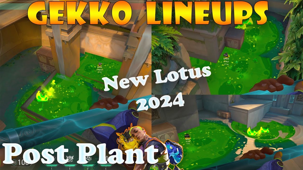 Top 15 New Lotus Gekko Post Plant Lineups | Gekko Lineups Lotus | Gekko  Mosh Pit on Lotus
