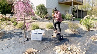 Planting Bare Root Roses From Menagerie Farm | The Eliot Estate