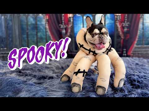 🎃BEST Halloween Costumes 2026🎃