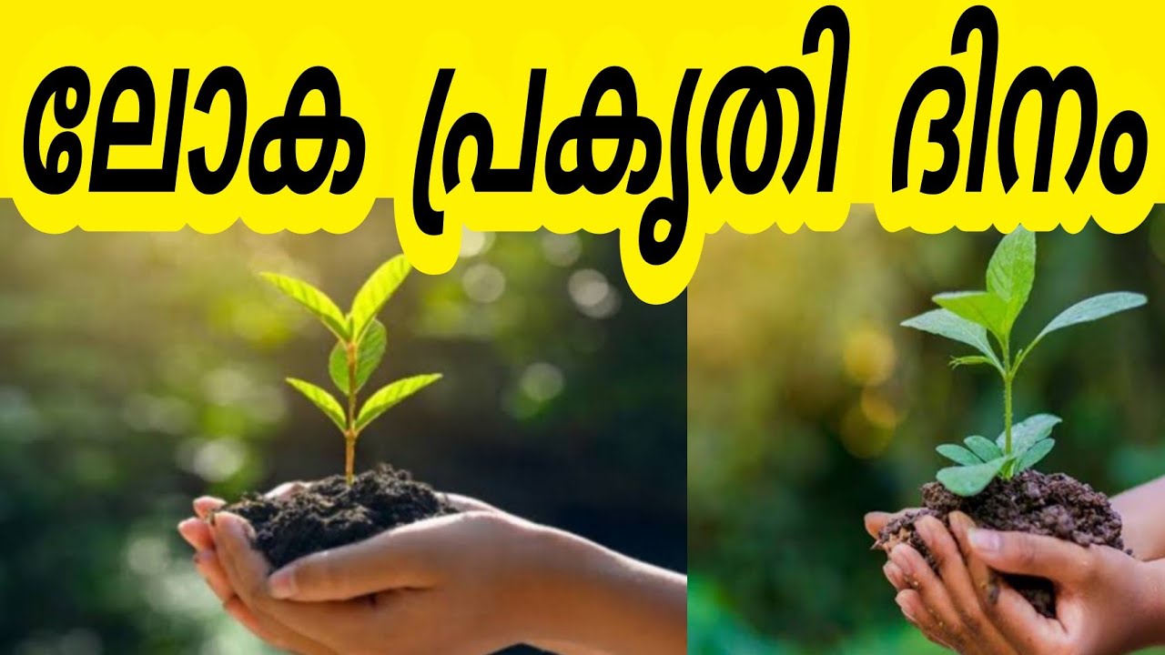 essay on environment day in malayalam