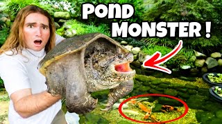 Pond Monster Found Eating Priceless Fish ! Can We Save Them ?