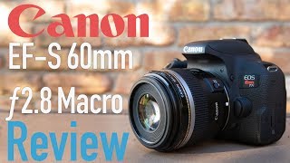 Canon EF-S 60mm f2.8 USM Macro Lens Review