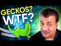 Sticky Science: The Force Be With You with Neil deGrasse Tyson