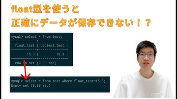 【SQLアンチパターン】float型・double型は使わないようにしましょう！(超詳細解説付き)