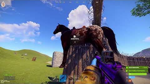 Rust 2022!!! New bugs keep popping up in this game!!!