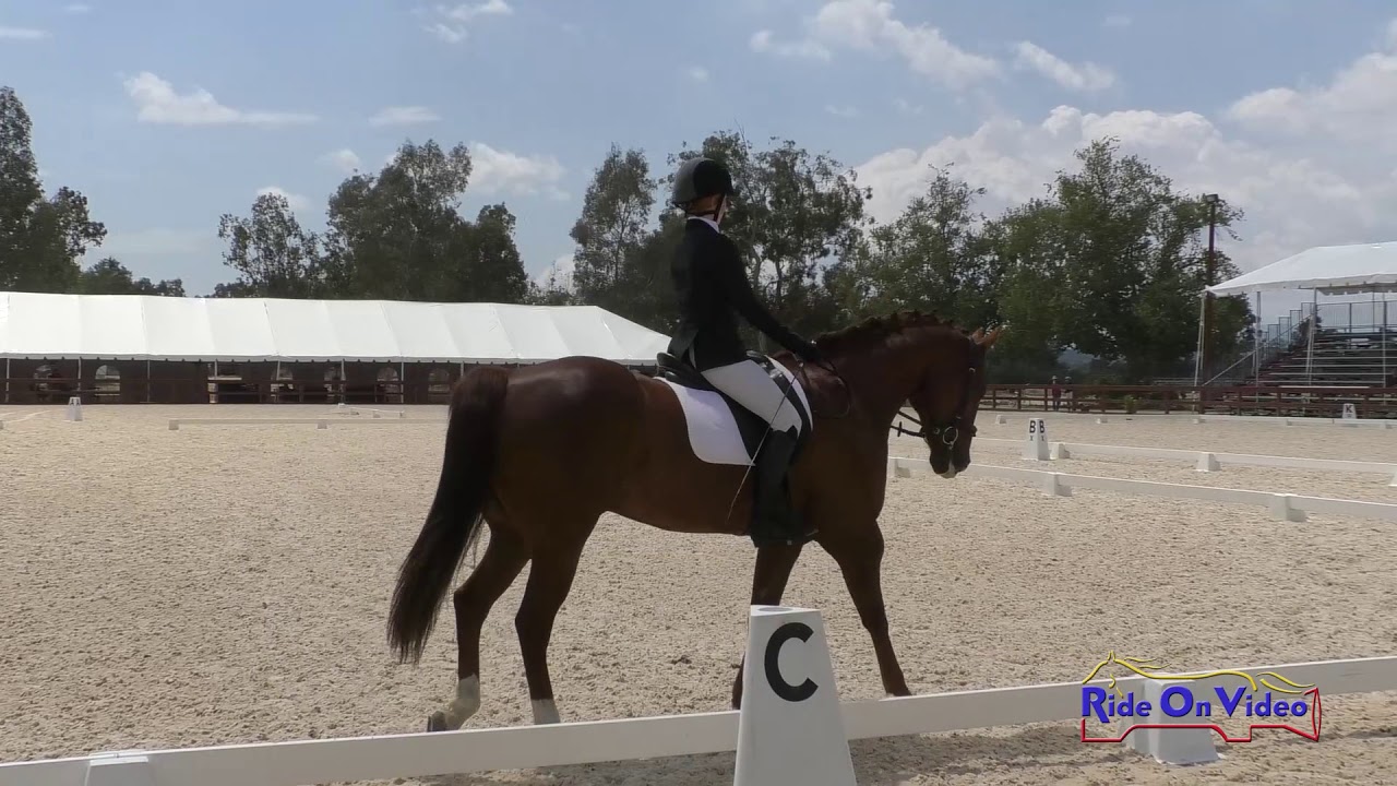 downs sims 047D Sarah Yeck on Indy JR Beginner Novice Dressage Galway Downs May 2019