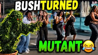 Bushman prank:LEAF TURNED CARNIVOROUS 🍃😂    #bushmanprank #viral #prank