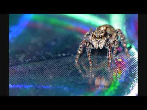 Dj U.R.T.A. & Dj Navarro Vs Dj Cote - Code 02 (Side A)