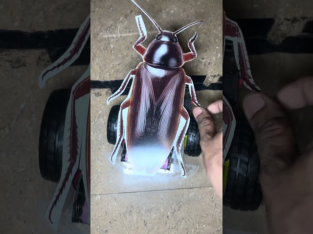 Cockroach robot party, Joins the party  Ready for alliance #cockroachjantaparty