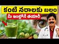 ఈ జ్యూస్ తాగండి, కంటి నరాలకు బలం | Drink This Every Morning for Sharper Vision | Eye Health