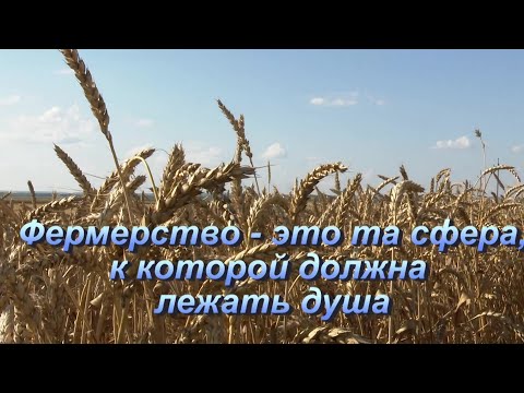 Фермерство – эта та сфера, к которой должна лежать душа