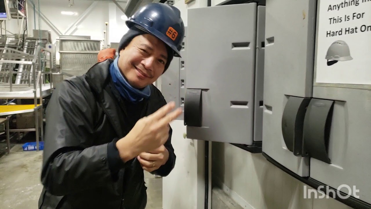 working in alaska (fish processing plant) YouTube