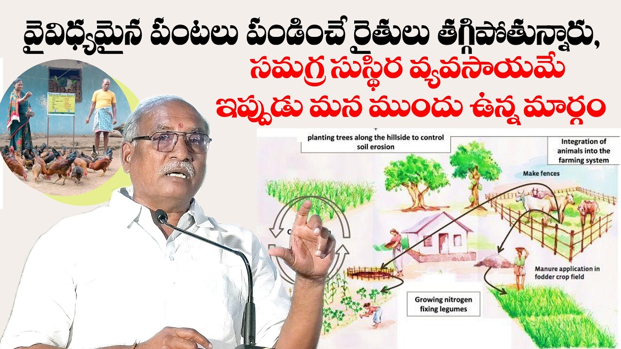 వైవిధ్యమైన పంటలు పండించే రైతులు తగ్గిపోతున్నారు, సమగ్ర సుస్థిర వ్యవసాయమే ఇప్పుడు మనముందు ఉన్న మార్గం
