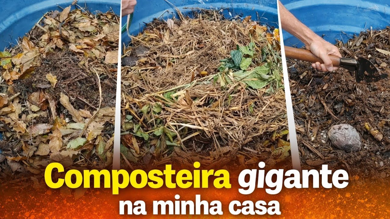 Composteira  abastecendo com folhas, mato e grama 