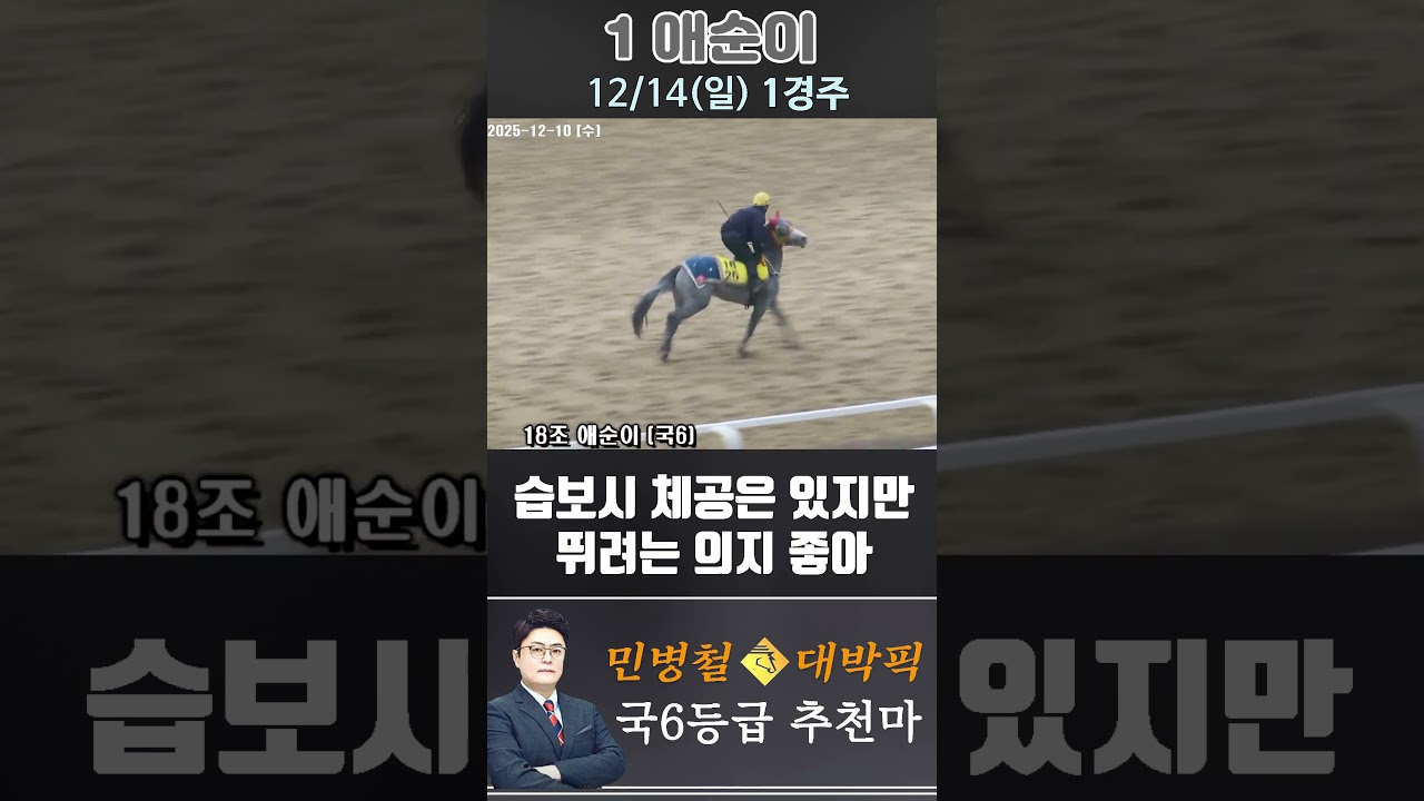[서울 경마] 민병철 대박픽 2025년 12월 14일 일요 1R 추천마3 #경마 #하이라이트 #한국마사회 #검빛 #고배당 #코리아