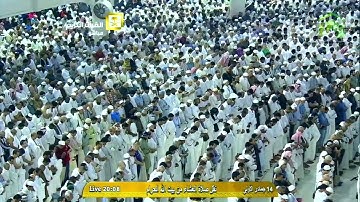 سورة النمل | ٦٤ - ٨١ | صالح آل طالب