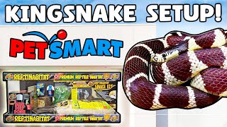 Kingsnake Setup for Beginners! by Reptiles and Research 1,161 views 3 months ago 8 minutes, 52 seconds