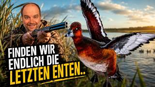 Finde ich endlich die letzten Diamant-Enten auf Salzwiesen Park? 🦆 theHunter COTW