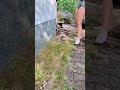 Gartenarbeit, die Spaß macht #beforeandafter #satisfying #gardening #asmr #youtubeshorts 😮💨
