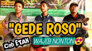 Download lagu Pengamen Jawa Timur Nyanyi - GEDE ROSO